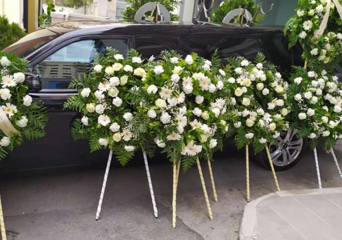Servizi Funebri  a Tirana - 0 