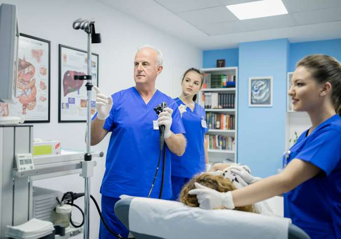 Klinike Kajo ofron sherbime te specializuara ne Gastro-Hepatologji dhe Kardiologji