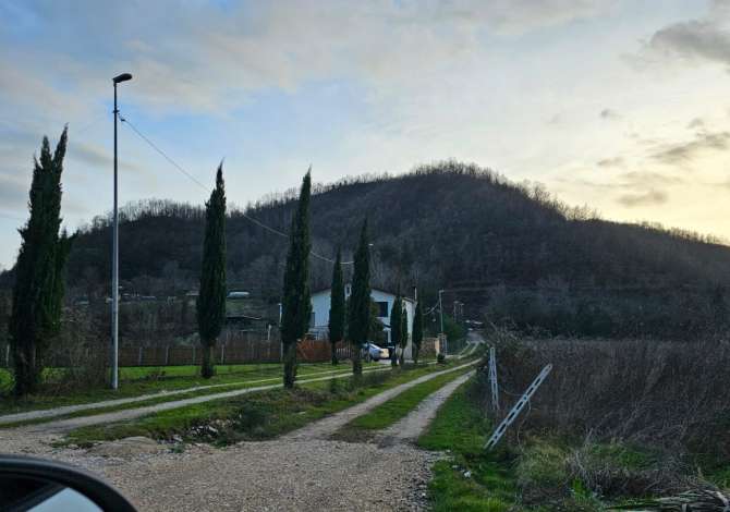 Truall ose Toke ne Tirane - 190,000 Euro