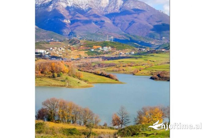 Terreno in vendita  a Tirana - 3,600,000 Euro