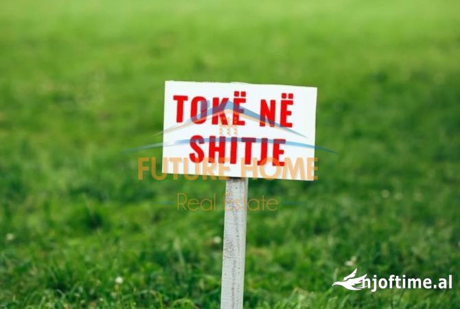 Truall ose Toke  ne Tirane - 182,000 Euro