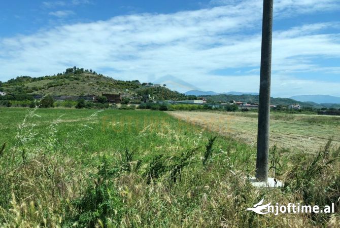 Truall ose Toke  ne Tirane - 570,000 Euro
