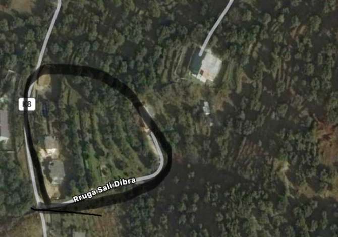 Truall ose Toke ne Vlore - 150,000 Euro