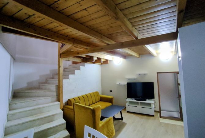 Shtepi me qera Apartament ne Tirane, 1+1, Mobilimi E mobiluar, Pagesa 300  Euro.