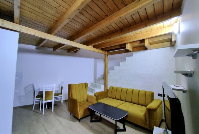 Shtepi me qera Apartament ne Tirane, 1+1, Mobilimi E mobiluar, Pagesa 300  Euro.