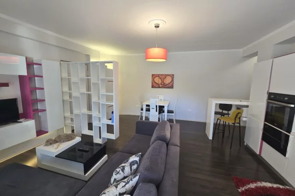 House for Sale 1+1 in Tirana - 155,000 Euro