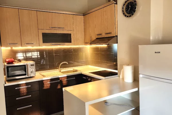 Apartment for rent in Tirana 1+1, Furnished