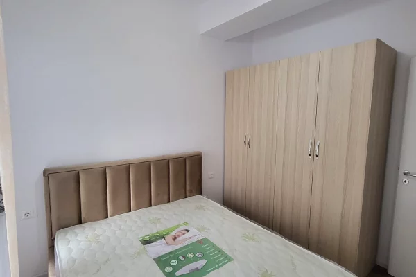 Shtepi me qera Apartament ne Tirane, 2+1, Mobilimi E mobiluar, Pagesa 500  Euro.