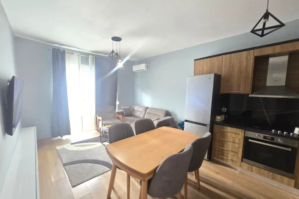 Apartment for rent in Tirana 1+1, Furnished