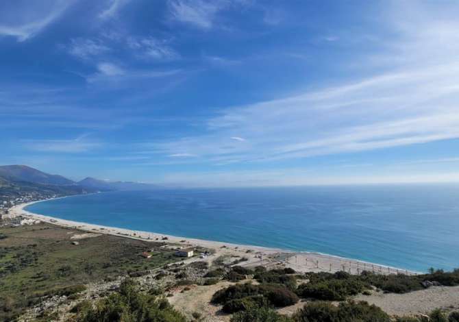 Truall ose Toke ne Vlore - 200,000 Euro