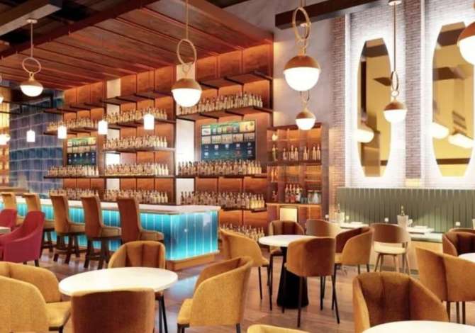 Ambient biznesi me qera 2+1 ne Tirane - 3,000 Euro