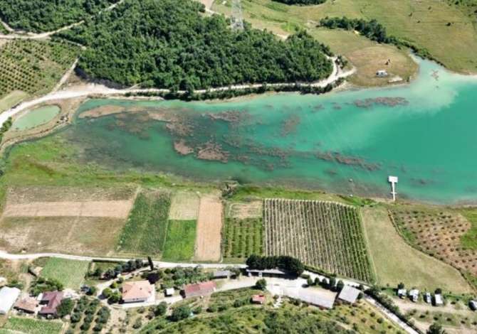 Truall ose Toke ne Tirane - 900,000 Euro