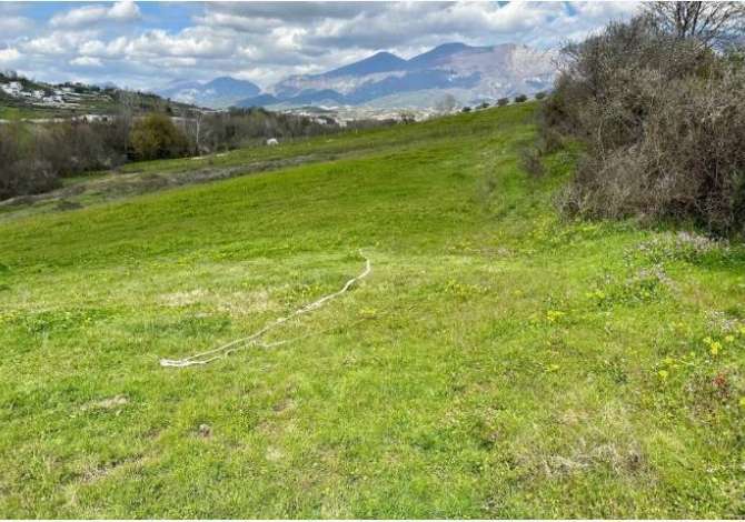 Truall ose Toke  ne Tirane - 560,000 Euro