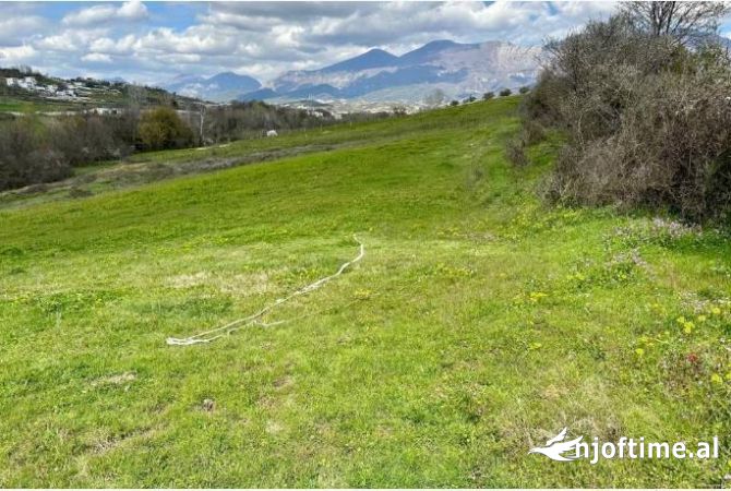 Truall ose Toke ne Tirane - 4,000,000 Euro