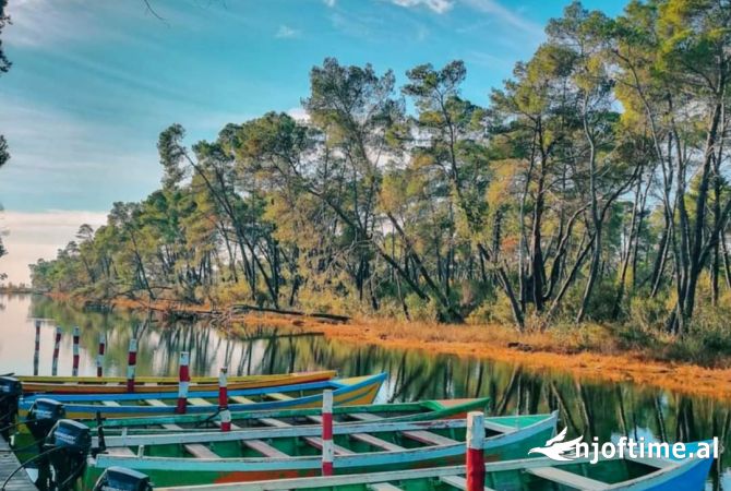 Ambient biznesi ne shitje 5+1 ne Lushnje - 850,000 Euro