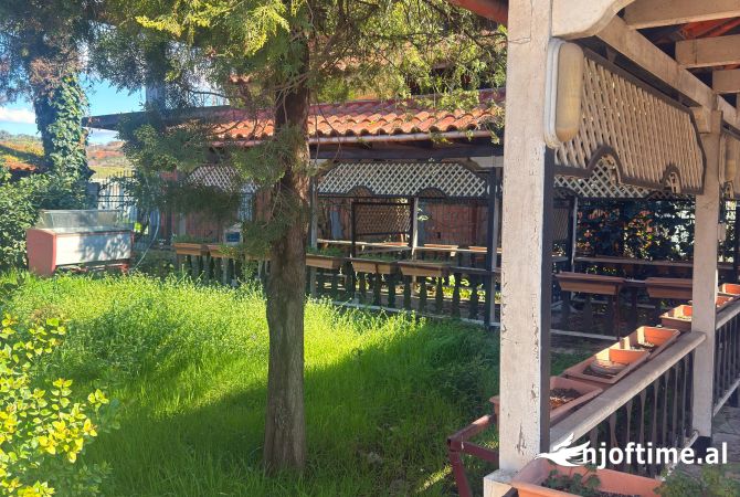 Ambient biznesi me qera 2+1 ne Tirane - 1,500 Euro