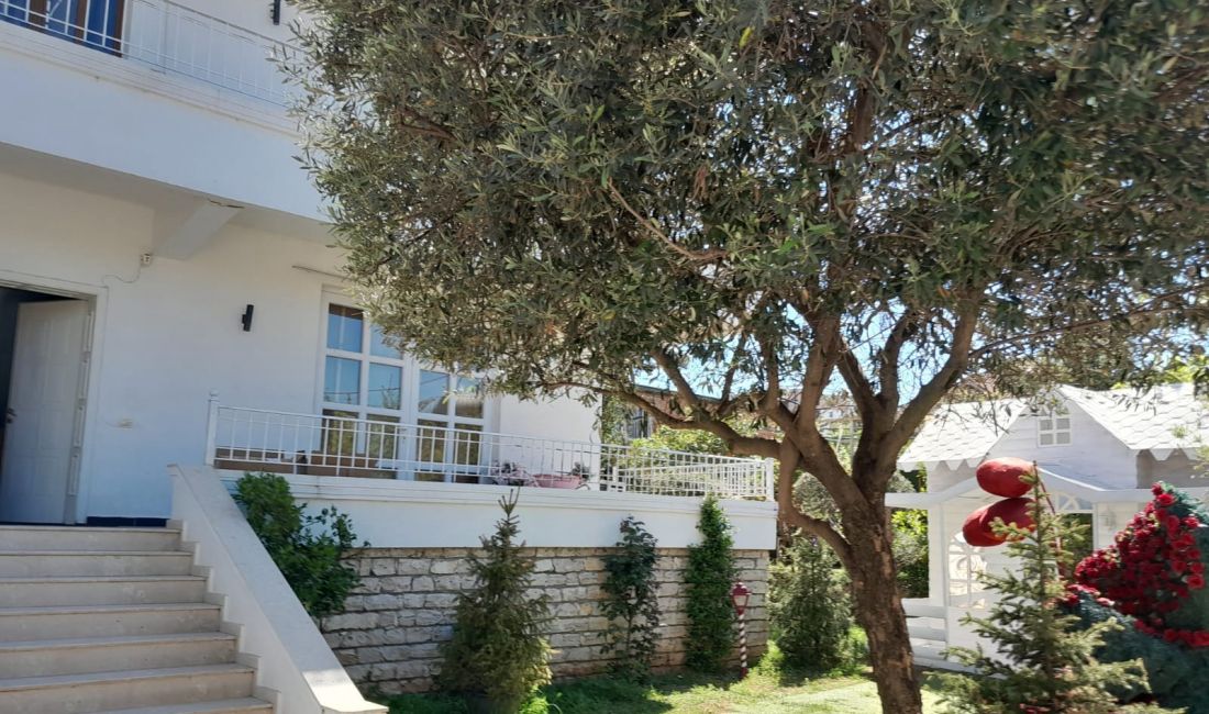 Foto 5