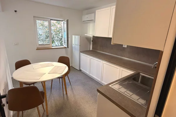 🏙️Jepet Zyre me Qira te Zogu i Zi!