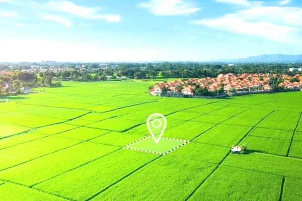 Truall ose Toke ne Tirane - 955,400 Euro