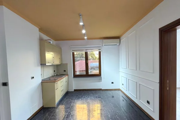 Ambient biznesi me qera 3+1 ne Tirane - 73,000 Leke