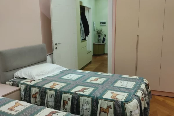 Shtepi ne shitje Apartament ne Tirane, 1+1, Mobilimi E mobiluar, Pagesa 304,000  Euro.