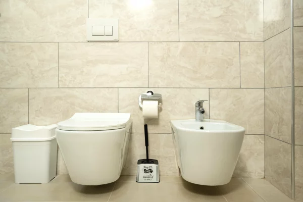 Shtepi me qera Apartament ne Tirane, 1+1, Mobilimi E mobiluar, Pagesa 700  Euro.