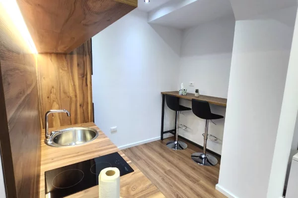 Ambient biznesi me qera 3+1 ne Tirane - 1,000 Euro