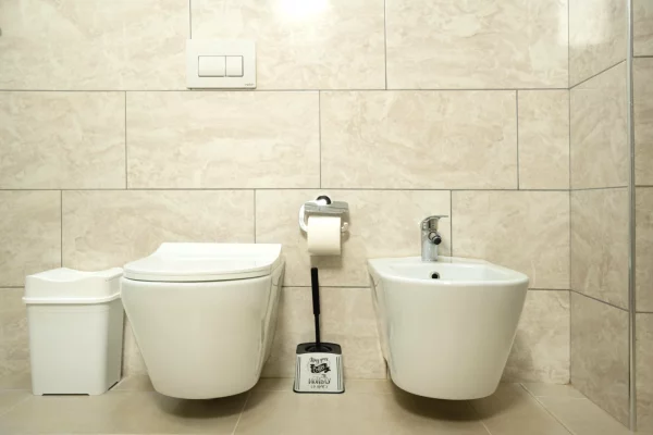 Shtepi me qera Apartament ne Tirane, 1+1, Mobilimi E mobiluar, Pagesa 700  Euro.