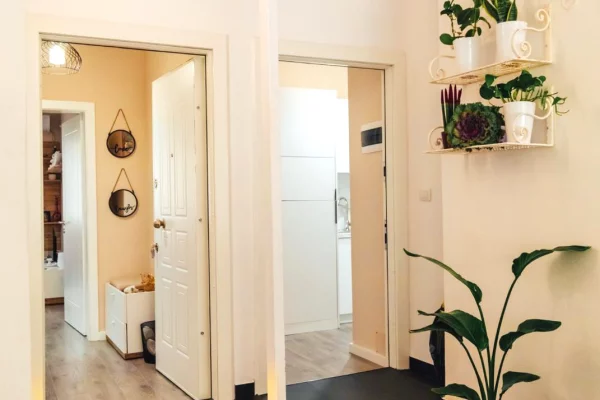 Shtepi me qera Apartament ne Tirane, 1+1, Mobilimi E mobiluar, Pagesa 800  Euro.