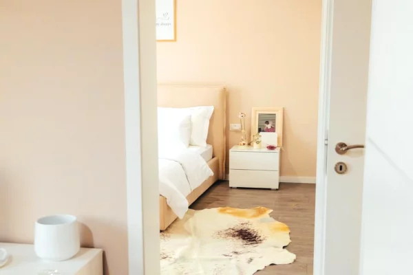 Shtepi me qera Apartament ne Tirane, 1+1, Mobilimi E mobiluar, Pagesa 800  Euro.