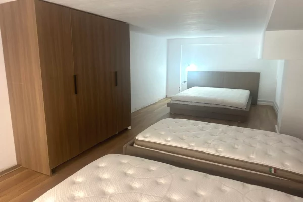 Shtepi ne shitje Duplex(shtepi me 2 kate) ne Tirane, 1+1, Mobilimi Pjeserisht e mobiluar, Pagesa 155,000  Euro.