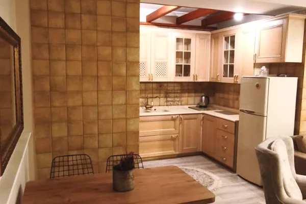 Shtepi ne shitje Apartament ne Tirane, 1+1, Mobilimi E mobiluar, Pagesa 350,000  Euro.