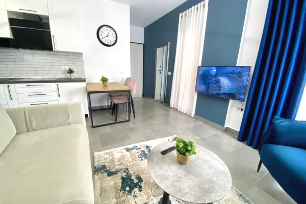 Shtepi me qera 1+1 ne Tirane - 700 Euro