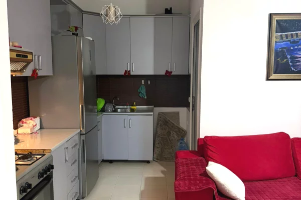 Apartment for rent in Tirana 1+1, Furnished