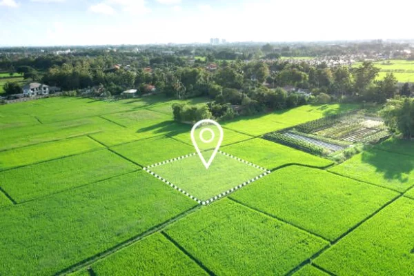 Truall ose Toke  ne Tirane - 42,000 Euro