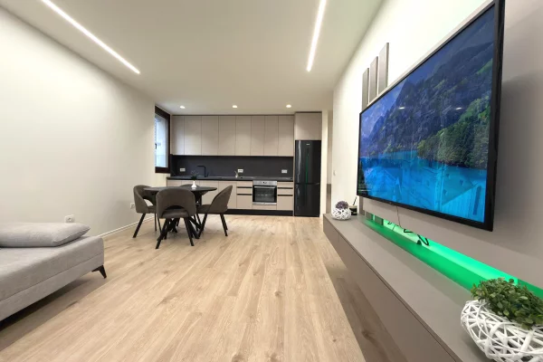 Apartment for rent in Tirana 1+1, Furnished