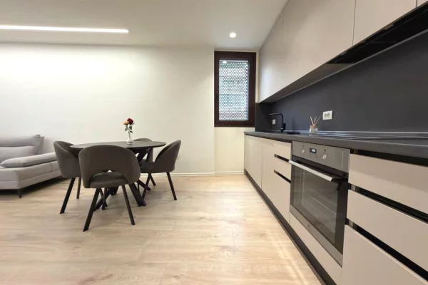 Appartamento in affitto a Tirana 1+1, Arredato