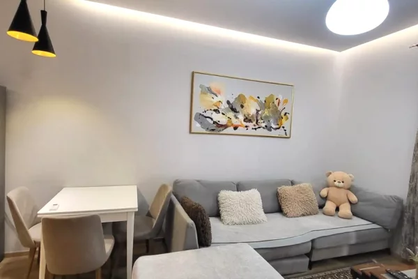 Shtepi ne shitje Apartament ne Tirane, 1+1, Mobilimi E mobiluar, Pagesa 240,000  Euro.