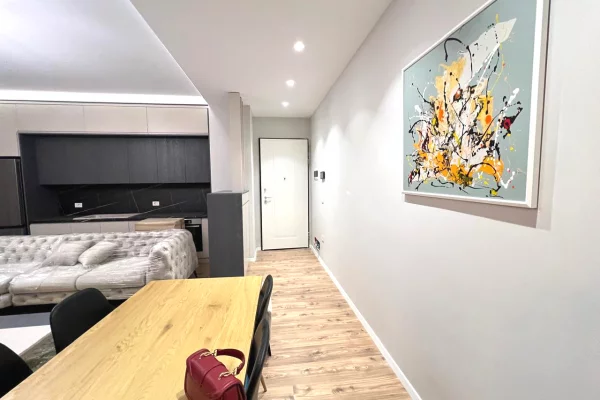 Apartment for rent in Tirana 1+1, Furnished