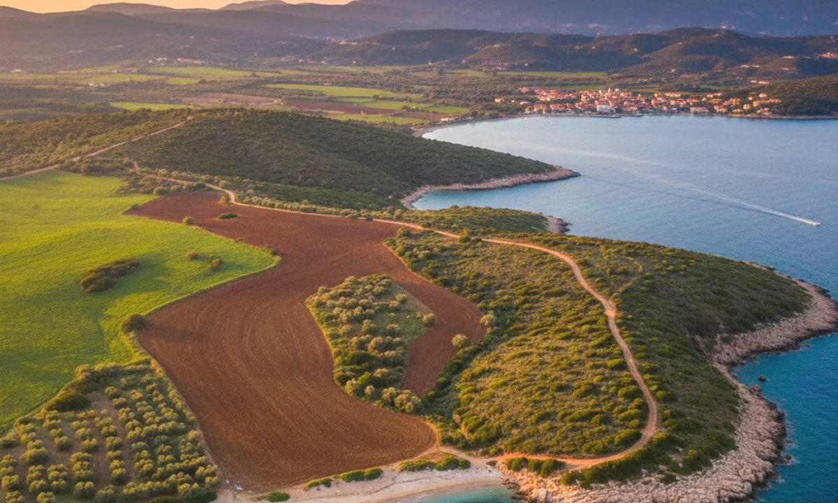 🌳Toke ne Shitje prane TEG-ut, me sip: 3000 m2