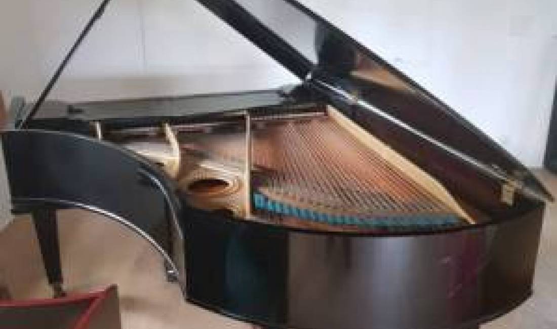 Foto 1