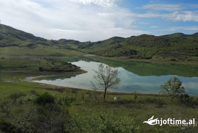 Truall ose Toke  ne Tirane - 196,000 Euro