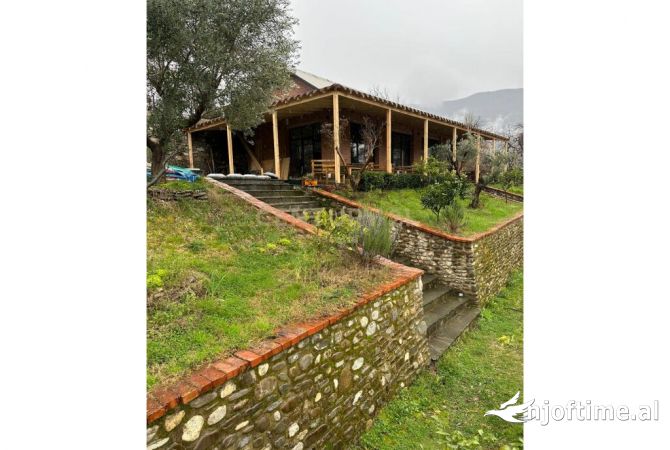 Ambient biznesi me qera 2+1 ne Tirane - 1,000 Euro