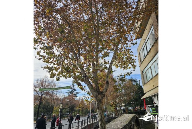 Ambiente Commerciale in Vendita 1+1 a Tirana - 25,000 Euro