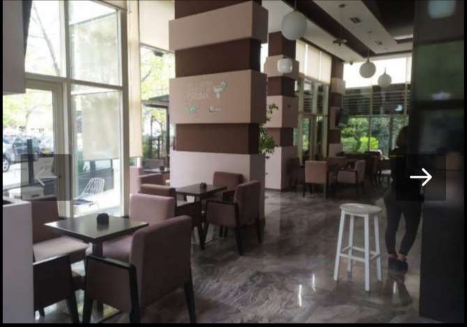 Ambient biznesi me qera 2+1 ne Tirane - 920 Euro