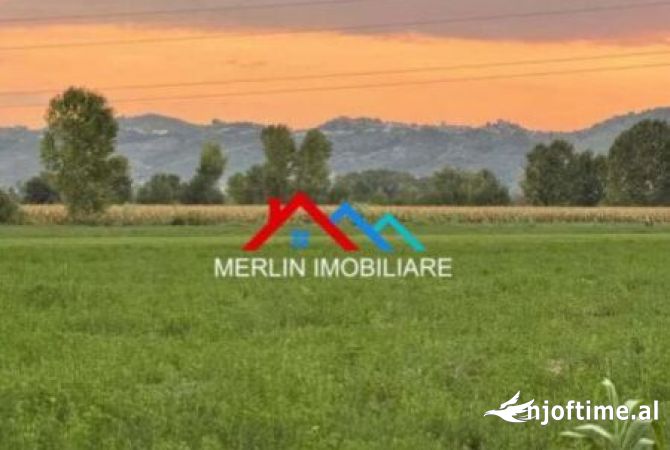 Truall ose Toke ne Tirane - 193,000 Euro