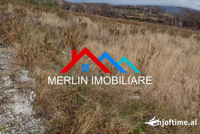 Truall ose Toke  ne Tirane - 780,000 Euro