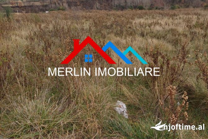 Truall ose Toke  ne Tirane - 780,000 Euro