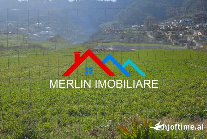 Truall ose Toke ne Tirane - 375,000 Euro
