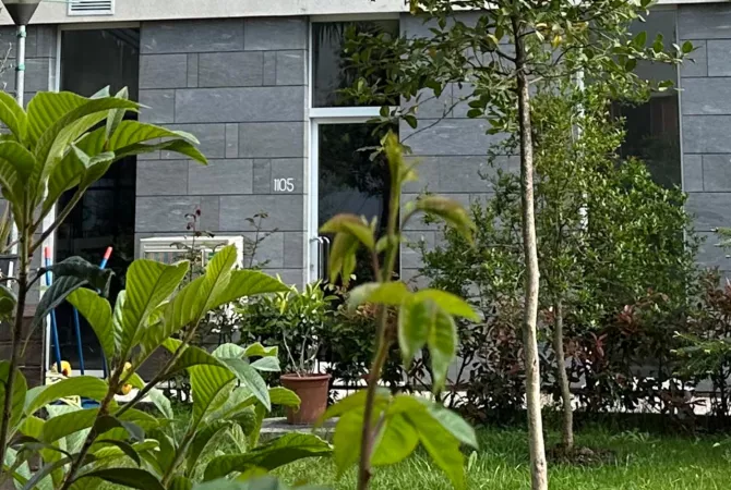 Ambient per zyra ose dyqan me qera